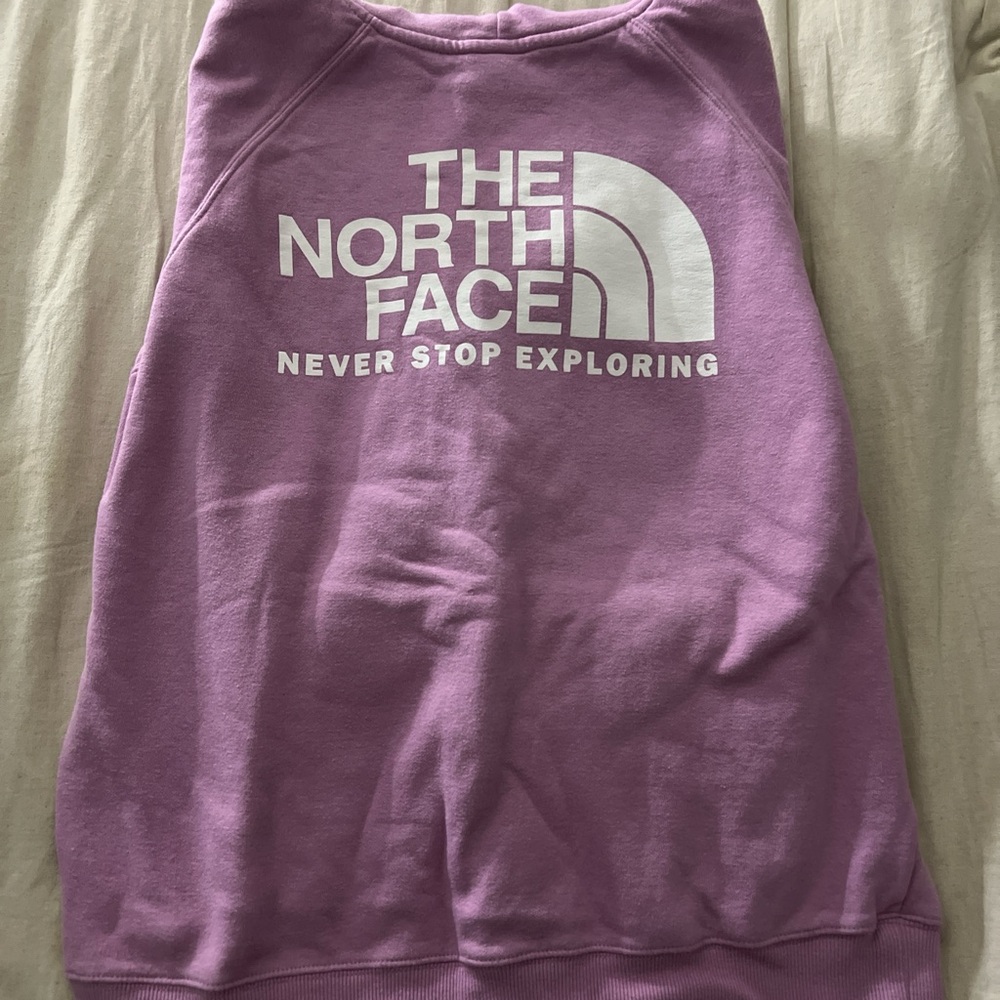The North Face Purple Fleece Hoodie